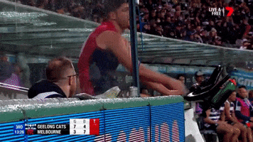 angus brayshaw chips GIF by AFL
