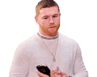 Canelo Alvarez Smile Sticker by Complex
