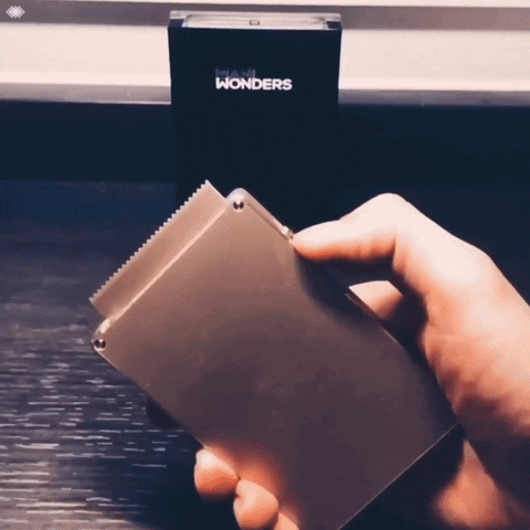 maniwonders giphyupload luxury wallet performing GIF