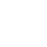 lytd_fashion fashion white green organic Sticker