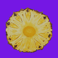 Summer Comida GIF