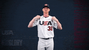 Pro GIF by USA Baseball