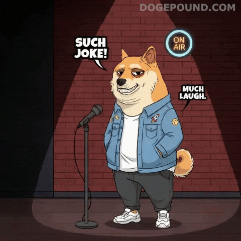 Shiba Inu Lol GIF by Doge Pound