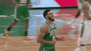 Jayson Tatum Reaction GIF by Boston Celtics
