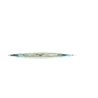 Aca Sticker by AutomovilClubArgentino