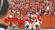 Football Celebration GIF by Wisconsin Badgers