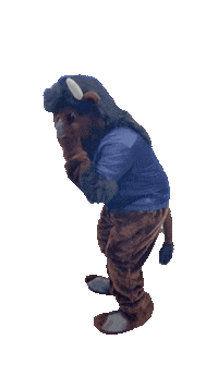 vpprep peak bison tyson vista Sticker