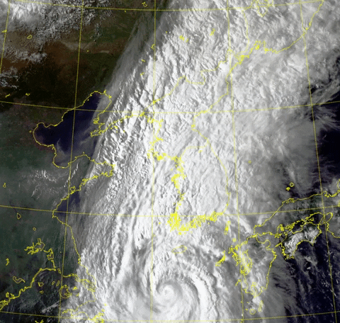 qwerpoiu22ppop giphyupload GIF