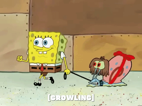 season 6 episode 10 GIF by SpongeBob SquarePants