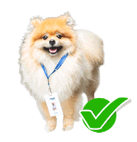 Imobiliaria Sticker by Prime Soho