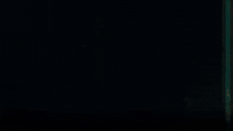 GIF by Studiocanal Germany