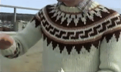 adam young iceland sweater GIF