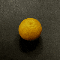 Circuit Court Noel GIF by Chez Perrette