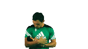football dite Sticker by 1. fotbalová liga