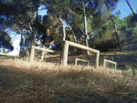 terapia abanaacauda GIF