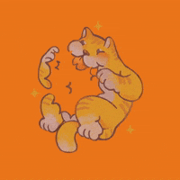 celllophane mango gatitos celllophane GIF