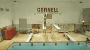 cornell university GIF