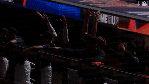 Baseball Team GIF by New York Mets