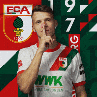 Football Bundesliga GIF by FC Augsburg 1907