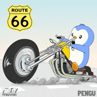 Road Trip Penguin GIF by Pudgy Penguins