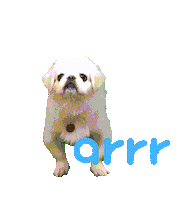 아르르 Sticker by arrr_official