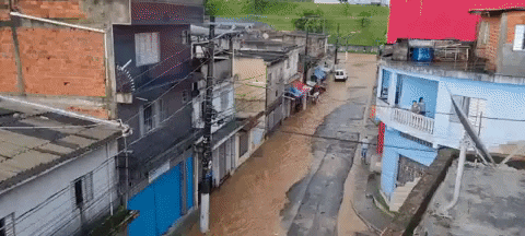 tamirisgomes679a giphyupload GIF