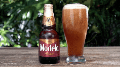 Beer Negra Modelo GIF by Cerveza Modelo MX