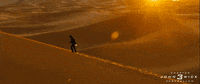 john wick GIF by John Wick: Chapter 3 - Parabellum