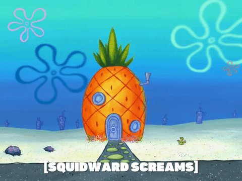 season 6 squid's visit GIF by SpongeBob SquarePants
