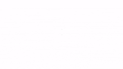 GIF by BP Bau