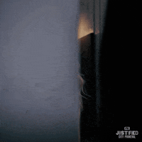 Fx Networks Television GIF by Justified: City Primeval
