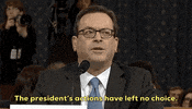 news impeachment impeachment inquiry opening statement barry berke GIF