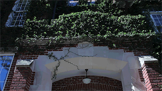GIF by University of Florida