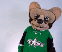 Ahl Reaction GIF by Texas Stars Hockey