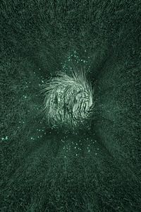 Digital Art 3D GIF