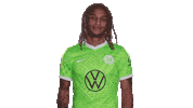 Football Sport Sticker by VfL Wolfsburg