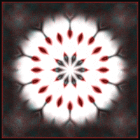 Art Loop GIF by Orla in Berlin