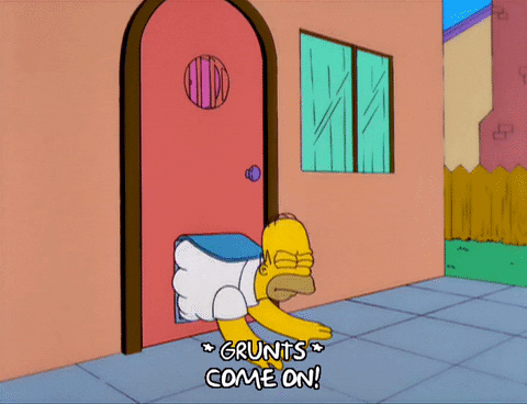 homer simpson episode 10 GIF
