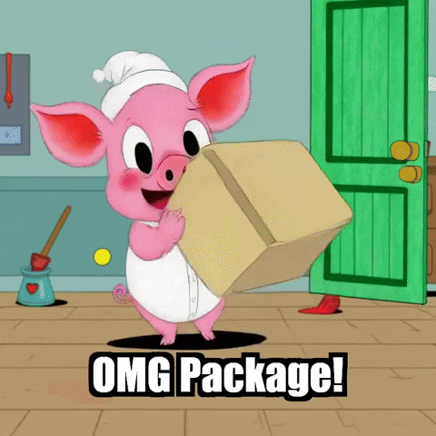 Happy Surprise GIF by The Pigasso