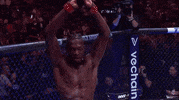 Sport GIF by UFC