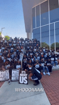 Voting Rights GIF by Black Voters Matter Fund