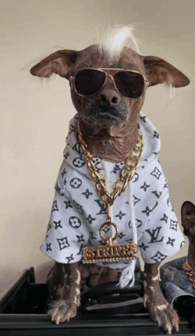 Cool Cat Chains GIF