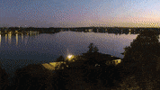 GIF by M Live