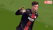 Football Celebration GIF by ElevenSportsBE