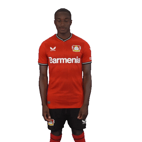 Happy Football Sticker by Bayer 04 Leverkusen