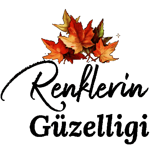 Mnks Kelimeler 4 Sticker