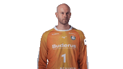 Handball-Bundesliga Handball Sticker by HSG Wetzlar