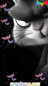 Esta De Vida GIF by Murcianys LLC