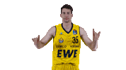 Ewe Baskets Basketball Sticker by EWE Baskets Oldenburg