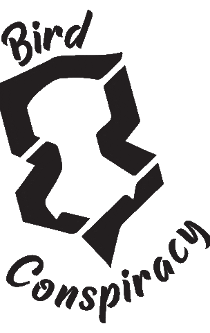 Dancing Sticker by Bird Conspiracy